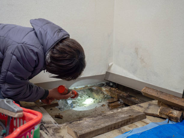  Hutchinson, KS Mold Removal Pros