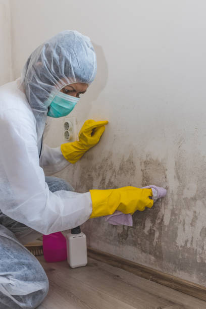 Best Airborne Mold Testing  in Hutchinson, KS
