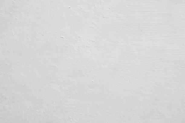 Best Environmental Consulting for Mold Prevention  in Hutchinson, KS