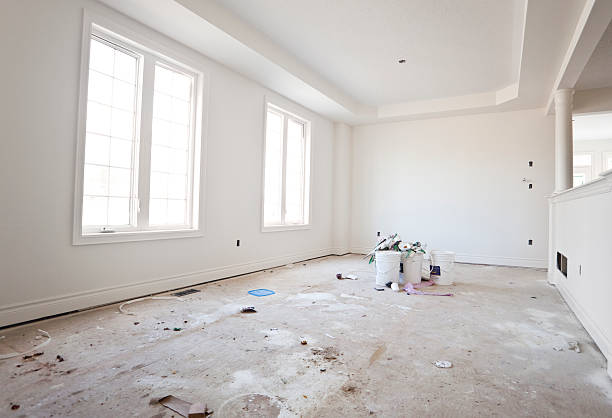 Best Basement Mold Removal  in Hutchinson, KS